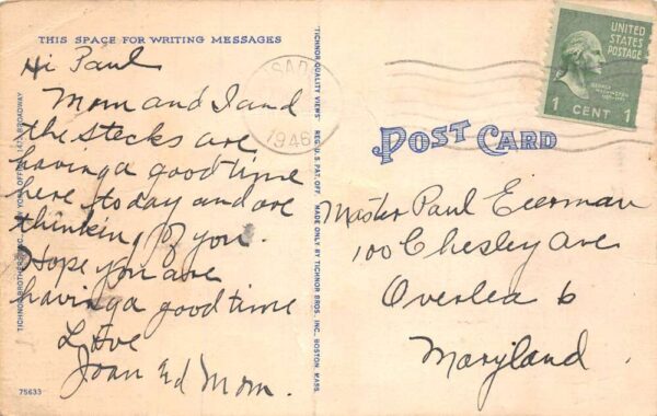 Palisades New Jersey Amusement Park Cyclone Roller Coaster Postcard AA71077 - Image 2