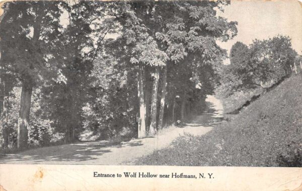 Hoffmans New York Entrance TO Wolf Hollow, B/W Photo Print Vintage PC U10606