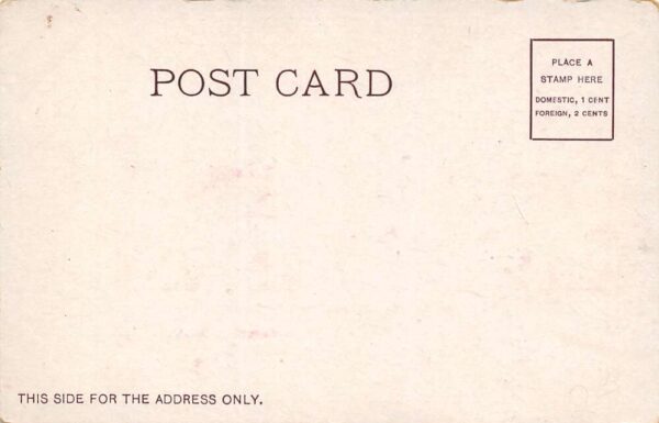 Fargo North Dakota Agricultural College, Undivided Back, Vintage Postcard U10613 - Image 2
