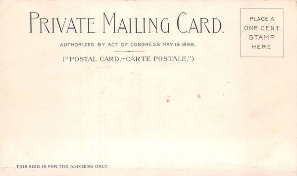 Pan American Expo Ethnology Building Private Mail Vintage Postcard AA71226 - Image 2