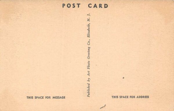 Accomac Virginia Whispering Pines, The Lounge, Vintage Postcard U10886 - Image 2