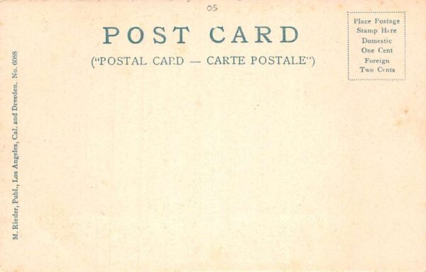 Pasadena California Cawston Ostrich Farm Feather Salesroom Postcard AA71667 - Image 2