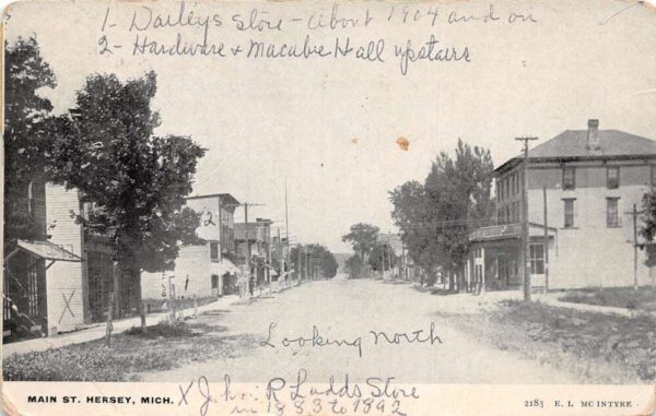 Hersey Michigan Main Street Vintage Postcard AA71732