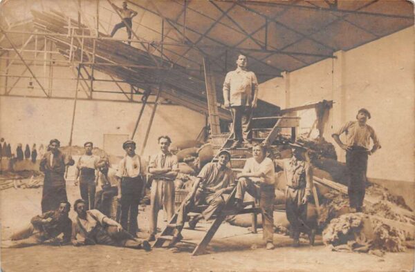 Farmers Ranch Scene Barn Interior Shearing Sheep Cotton Real Photo PC AA74668