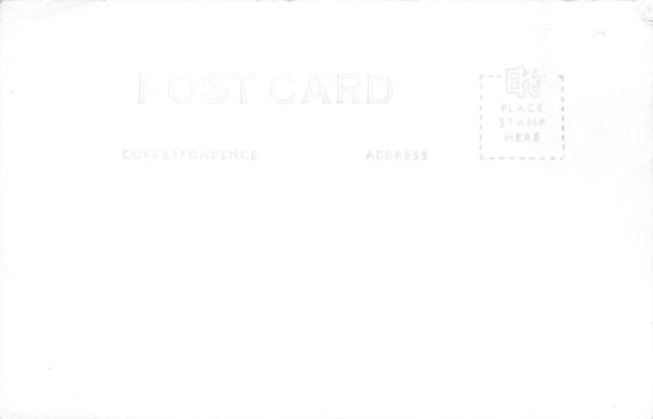 Tombstone Arizona Crystal Palace Cafe Budweiser Beer Real Photo Postcard AA74720 - Image 2