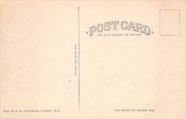 Albany Wyoming LHPP Railroad Scene Vintage Postcard AA74745 - Image 2