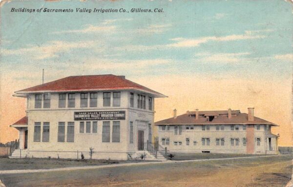 Willows California Sacramento Valley Irrigation Co Vintage Postcard AA74844
