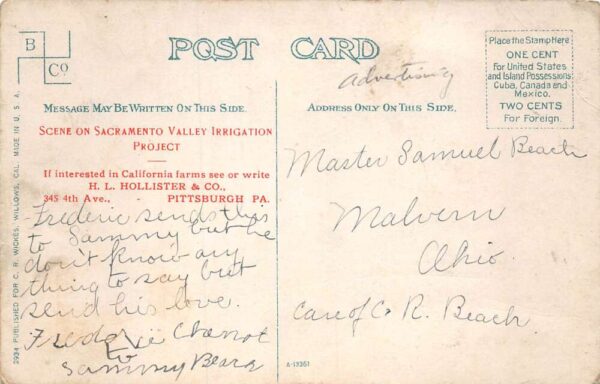 Willows California Sacramento Valley Irrigation Co Vintage Postcard AA74844 - Image 2