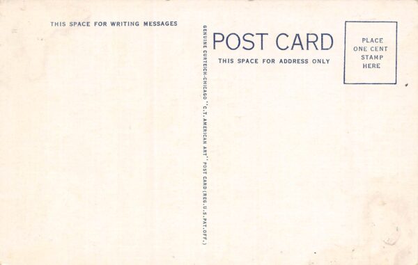 Big Rapids Michigan The Ferris Institute, White Border Vintage Postcard U13467 - Image 2