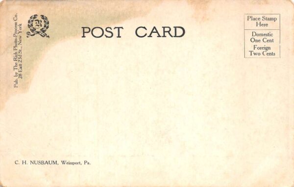 Weissport Pennsylvania Lehigh River Bridge Scenic View Vintage Postcard AA75343 - Image 2