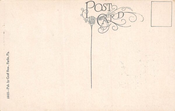 Berlin Pennsylvania Reception to Soldiers, World War 1, Vintage Postcard U13673 - Image 2