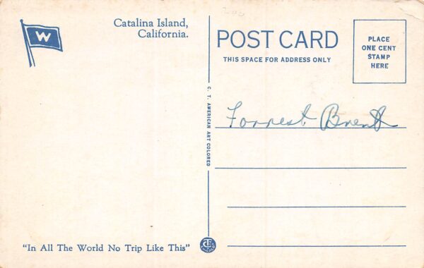 Catalina Island California World Record Swordfish, White Border Postcard U13685 - Image 2