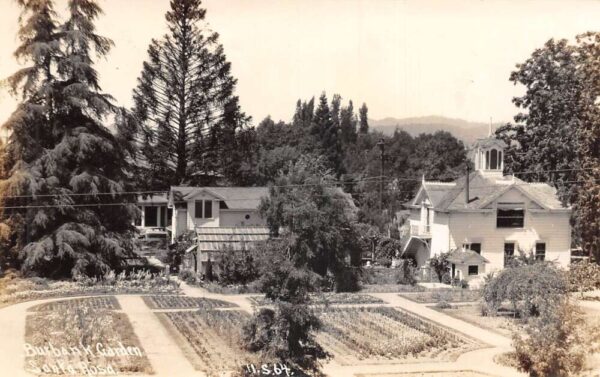 Santa Rosa California Burbank Garden Real Photo Vintage Postcard AA75490