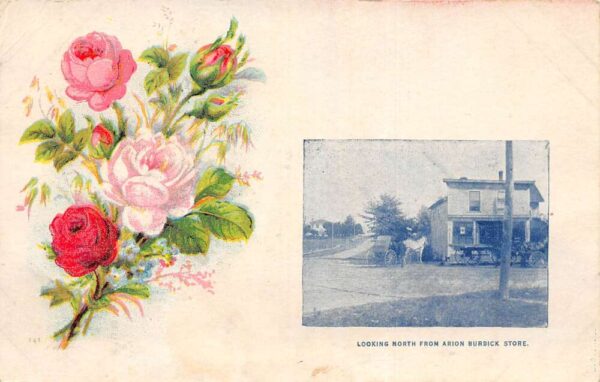 Michigan ? Looking North from Arion Burdick Store Vintage Postcard AA75718