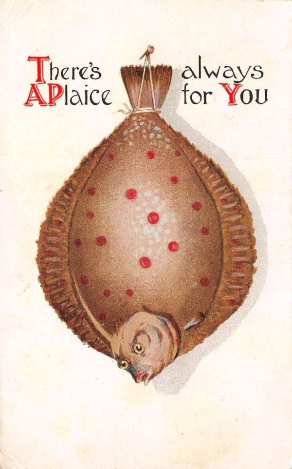 Fishing Greetings Flatfish "Always a Place for You" Humor Postcard AA75722