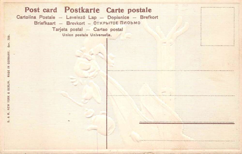 Greetings Dog "More than I expected" Pulling Tablecloth Humor Postcard AA75723 - Image 2