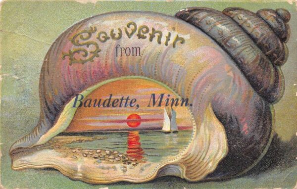 Baudette Minnesota Greetings Shell Border Vintage Postcard AA75749