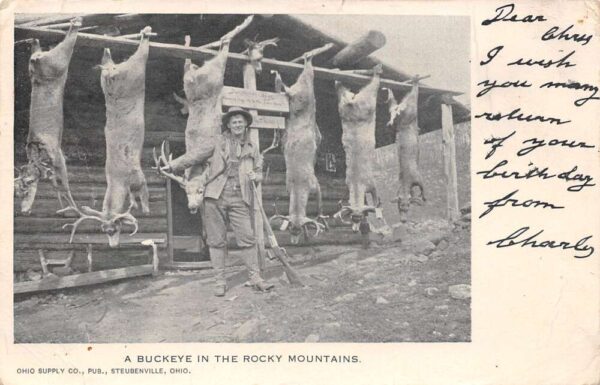 Steubenville Ohio A Buckeye In The Rocky Mtns., Undivided Back, PC U14160