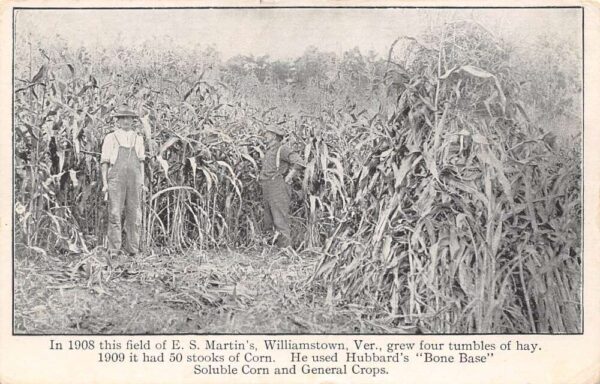 Williamstown Vermont E.S.Martin's Corn Field, Hubbard's "Bone Base" Fertilizer Ad, PCU14226