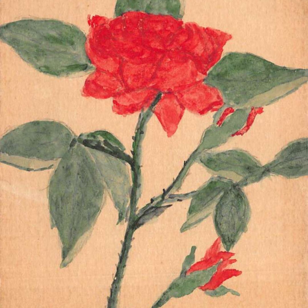 The Charm of HandPainted Postcards Shop Old Postcards