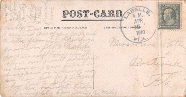 Port Thompson Florida Meadow Scene at Park Scenic View Vintage Postcard AA74567 - Image 2