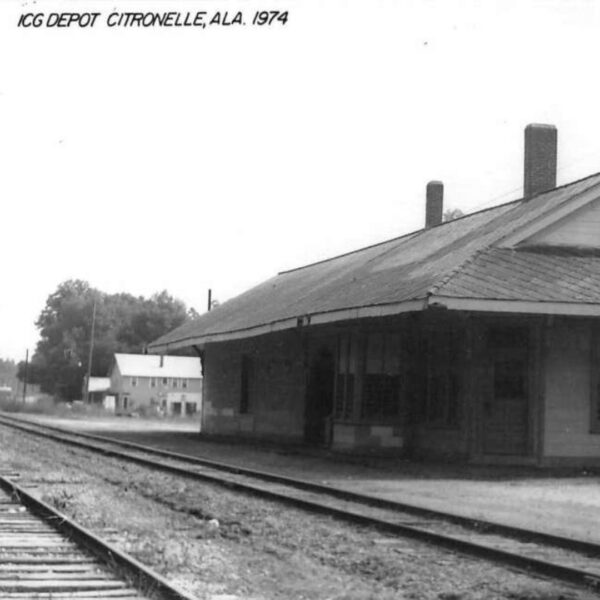 Vintage Postcard of Citronelle, Ala , 1974