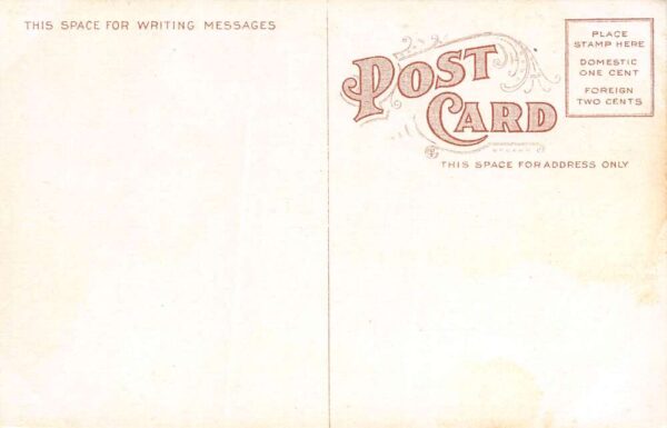 Baton Rouge Louisiana Bird's Eye View, Color Lithograph Vintage Postcard U16416 - Image 2