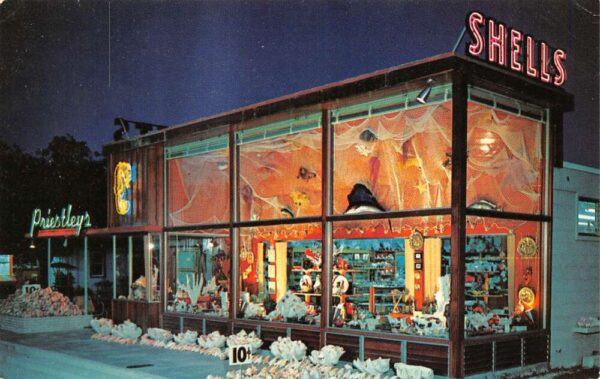 Dania Florida Priestley's Gift Shop, Chrome, Vintage Postcard U16429