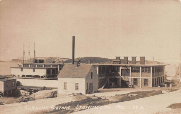 Stonington Maine Sardine Factory Real Photo Vintage Postcard AA83191