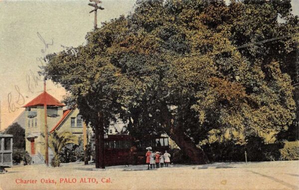 Palo Alto California Charter Oaks Vintage Postcard AA83271