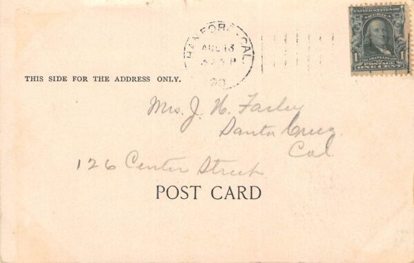 Hanford California Prune Orchard, Undivided Back, Vintage Postcard U17877 - Image 2