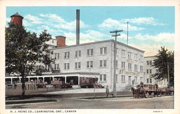 Leamington, Ontario Canada H.J. Heinz Co., White Border, Vintage Postcard U17943