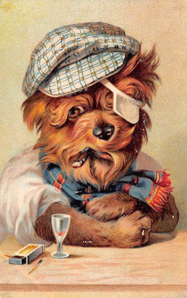 PFB, Drinking & Smoking Dog Wearing Hat, Scarf, & Eye Patch, PC U17949