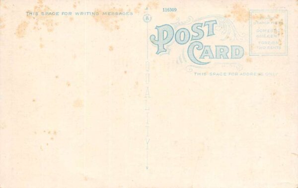 Wilmington Delaware Dancing On Wilson Line Steamers, White Border, PC U18056 - Image 2