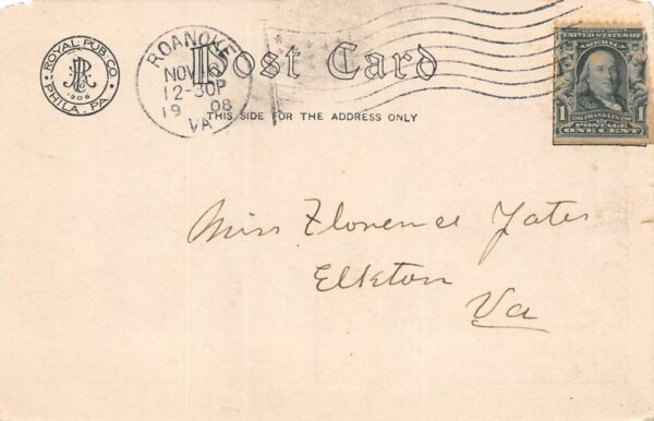 Roanoke Virginia View in Mountain Park, Undivided Back, Vintage Postcard U18089 - Image 2