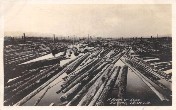 Tacoma Washington Logging Scene Real Photo Vintage Postcard AA83525