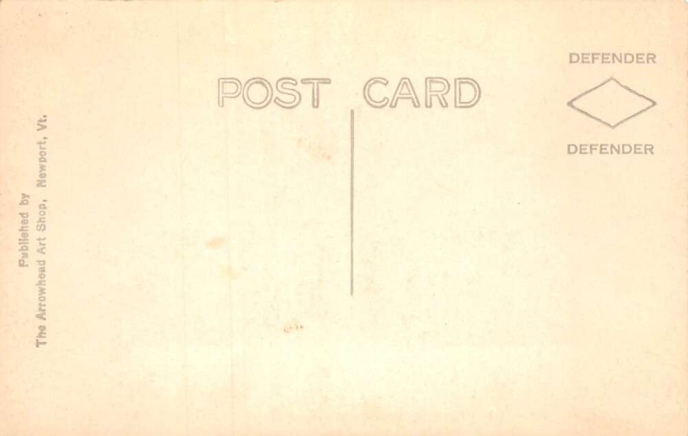 Newport Vermont and Lake Memphremagog Birds Eye View Real Photo Postcard AA83552 - Image 2