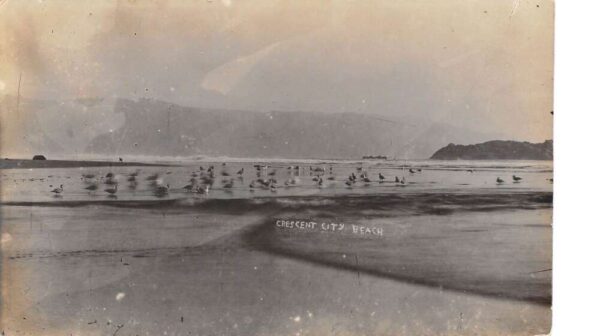 Crescent City California Beach Scene Scenic View Real Photo Postcard AA83582