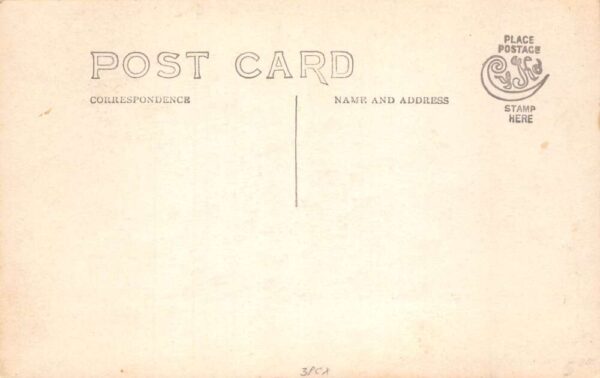 Swan Pontoon Boat Scenic View Real Photo Vintage Postcard AA83601 - Image 2