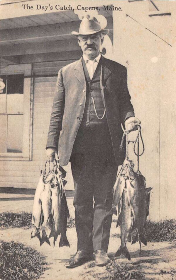 Capens Maine The Day's Catch, B/W Lithograph, Vintage Postcard U18134