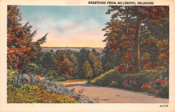 Millsboro Delaware Greetings From, Scenic Roadway, Color Linen, PC U18147