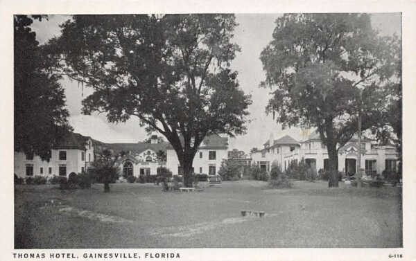 Gainesville Florida Thomas Hotel, B/W Photo Print Vintage Postcard U18150