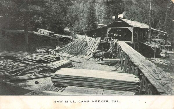 Camp Meeker California Saw Mill, B/W Lithograph, Vintage Postcard U18160
