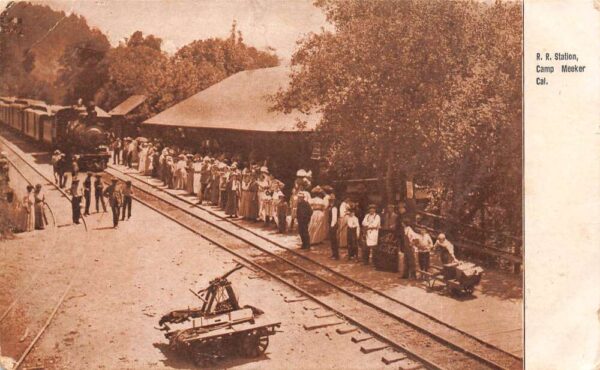 Camp Meeker California Railroad Station, Sepia Tone Lithograph, Postcard U18162