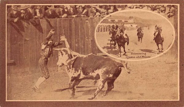Tijuana Mexico Horse Racing and Bull Fighting Matador Postcard AA83651
