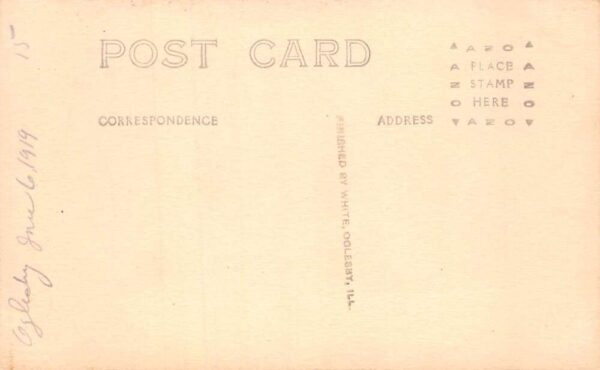 Oglesby Illinois Women with Dog on Porch Real Photo Vintage Postcard AA83781 - Image 2