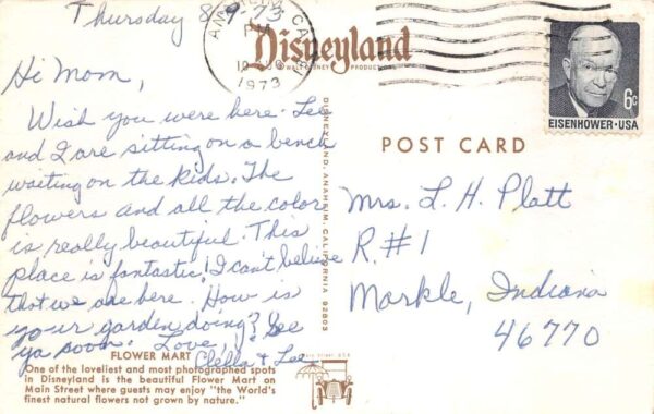 Disneyland Amusment Park Flower Mart on Main Street Vintage Postcard AA83791 - Image 2