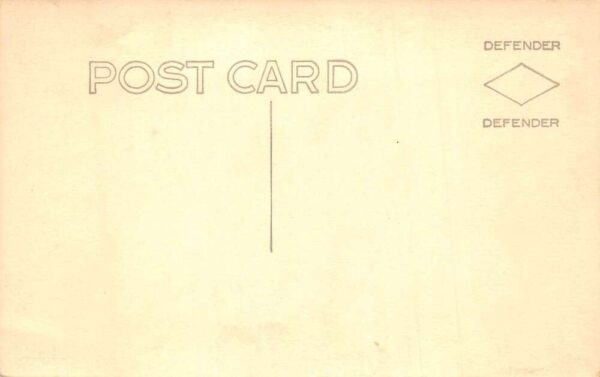 Camp Edith Macy Trail from Ledges Scenic View Real Photo Postcard AA83794 - Image 2