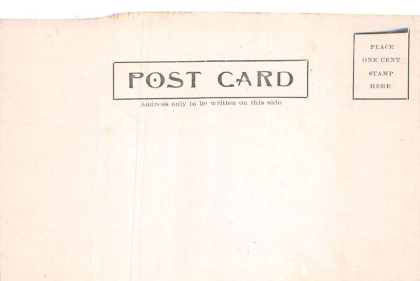 Des Moines Iowa Floral Hill Iowa Seed Co Greenhouse Vintage Postcard AA84085 - Image 2