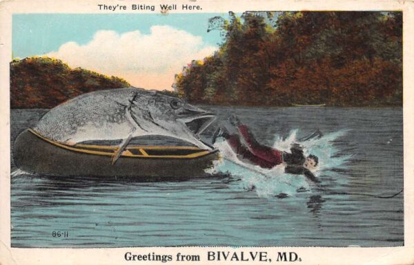 Bivalve Maryland Fishing Exaggeration Greetings "Biting Well" Postcard AA84112